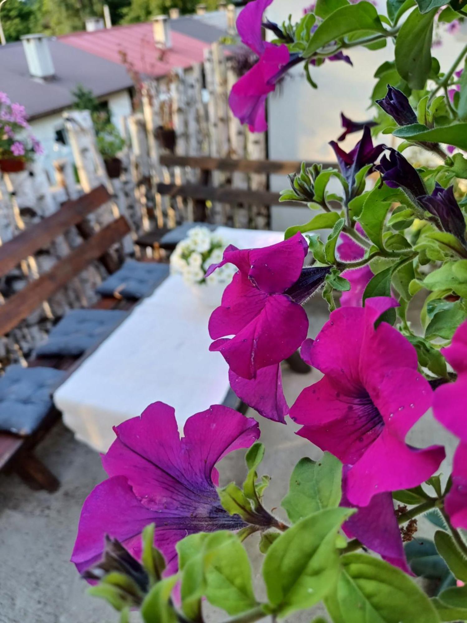 Apartment Relax Плужине Экстерьер фото